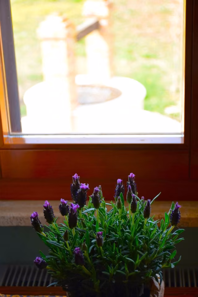Il giardino dell’agriturismo con il pozzo antico
